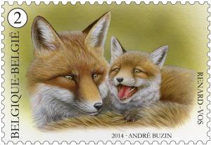 Colnect-2001-336-Red-Fox-Vulpes-vulpes.jpg