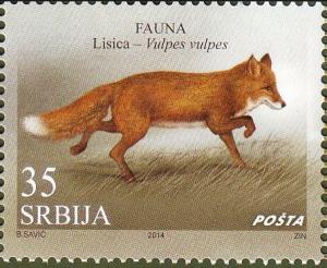 Colnect-2168-352-Red-Fox-Vulpes-vulpes.jpg