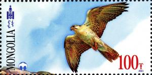 Colnect-2247-228-Saker-Falcon-Falco-cherrug.jpg