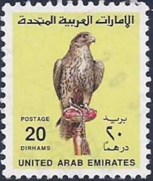 Colnect-2346-306-Saker-Falcon-Falco-cherrug.jpg