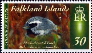 Colnect-2953-564-White-bridled-Finch-Melanodera-melanodera.jpg