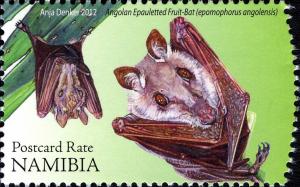 Colnect-3063-941-Angolan-Epauletted-Fruit-Bat-Epomophorus-angolensis.jpg