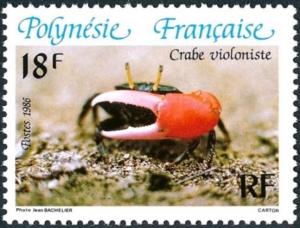 Colnect-3225-150-Thick-legged-Fiddler-Crab-Uca-crassipes.jpg