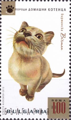 Colnect-3816-174-Burmese-Felis-silvestris-catus.jpg