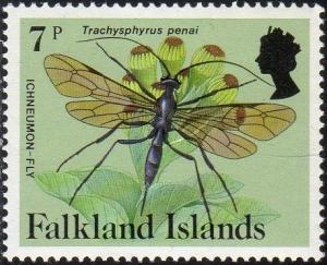 Colnect-3909-221-Ichneumon-Fly-Trachysphyrus-penai.jpg