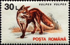 Colnect-4860-207-Red-Fox-Vulpes-vulpes.jpg