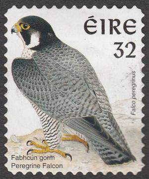 Colnect-5080-564-Peregrine-Falcon-Falco-peregrinus.jpg