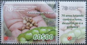 Colnect-5485-933-Beans-from-Garden-at-Fogo.jpg