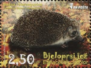 Colnect-5866-907-Fauna-Hedgehog.jpg