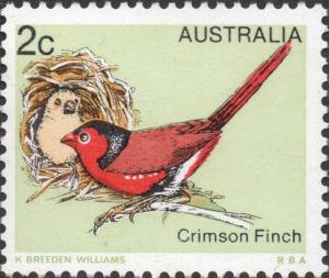 Colnect-6129-650-Crimson-Finch-Neochmia-phaeton.jpg