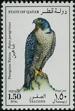 Colnect-745-807-Peregrine-Falcon-Falco-peregrinus.jpg