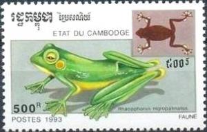 Colnect-765-652-Wallace-s-Flying-Frog-Rhacophorus-nigropalmatus.jpg