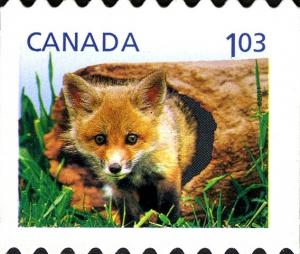 Colnect-770-876-Red-Fox-Vulpes-vulpes.jpg