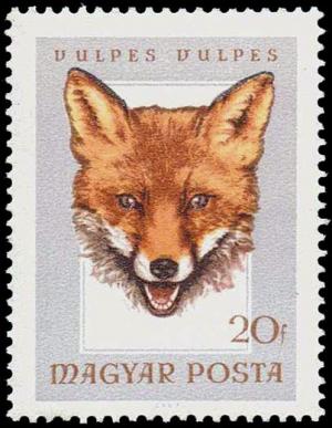 Colnect-882-300-Red-Fox-Vulpes-vulpes.jpg