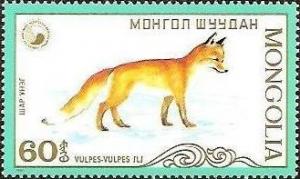 Colnect-976-723-Red-Fox-Vulpes-vulpes.jpg