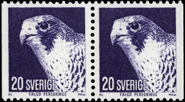 Colnect-4291-413-Peregrine-Falcon-Falco-peregrinus.jpg