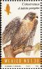 Colnect-1490-774-Peregrine-Falcon-Falco-peregrinus.jpg