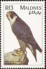 Colnect-1631-930-Peregrine-Falcon-Falco-peregrinus.jpg