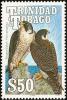 Colnect-744-226-Peregrine-Falcon-Falco-peregrinus.jpg