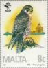 Colnect-130-930-Peregrine-Falcon-Falco-peregrinus.jpg