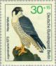 Colnect-155-222-Peregrine-Falcon-Falco-peregrinus.jpg