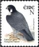 Colnect-1902-355-Peregrine-Falcon-Falco-peregrinus.jpg