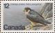 Colnect-4016-243-Peregrine-Falcon-Falco-peregrinus.jpg