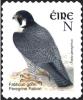 Colnect-1902-355-Peregrine-Falcon-Falco-peregrinus.jpg