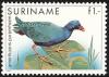 Colnect-1504-505-American-Purple-Gallinule-Gallinula-martinica.jpg