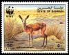 Colnect-1586-490-Sand-Gazelle-Gazella-subgutturosa-marica.jpg