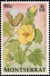 Colnect-2757-364-Cotton-Gossypium-barbadense.jpg