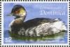 Colnect-3202-255-Black-necked-Grebe-Podiceps-nigricollis.jpg