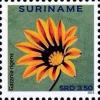 Colnect-4090-021-Gazania-regens.jpg