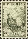 Colnect-4398-553-Black-Grouse-Tetrao-tetrix.jpg