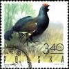 Colnect-5324-792-Black-Grouse-Tetrao-tetrix.jpg