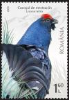 Colnect-5778-960-Black-Grouse-Tetrao-tetrix.jpg