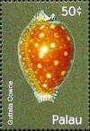 Colnect-5862-030-Guttata-cowrie.jpg