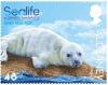 Colnect-6440-757-Grey-Seal-Pup.jpg