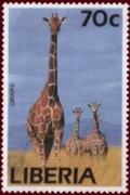 Colnect-2288-651-Giraffe-Giraffa-camelopardalis.jpg