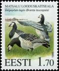 Colnect-4819-915-Barnacle-Goose-Branta-leucopsis-.jpg