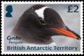 Colnect-5350-486-Gentoo-Penguin.jpg