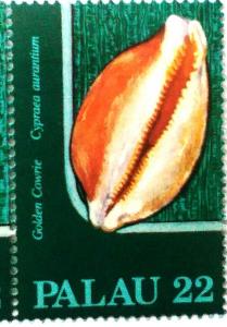 Colnect-5880-125-Golden-Cowrie.jpg