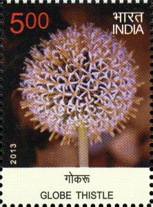 Colnect-6204-106-Globe-Thistle.jpg