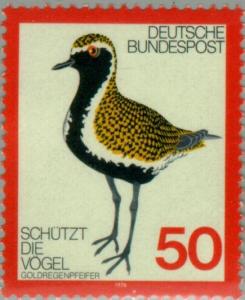 Colnect-153-037-Golden-Plover.jpg