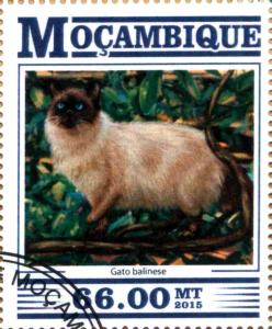 Colnect-3977-560-Gato-balinese.jpg