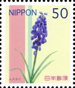 Colnect-1914-385-Grape-Hyacinth.jpg