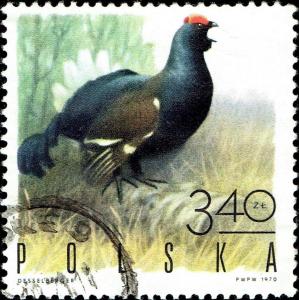 Colnect-5324-792-Black-Grouse-Tetrao-tetrix.jpg