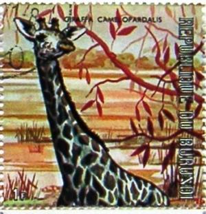 Colnect-1492-988-Giraffe-Giraffa-camelopardalis.jpg