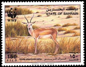 Colnect-1586-493-Sand-Gazelle-Gazella-subgutturosa-marica.jpg