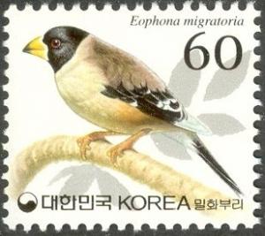 Colnect-1606-224-Yellow-billed-Grosbeak-Eophona-migratoria.jpg